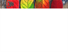 Tablet Screenshot of abovo.hu